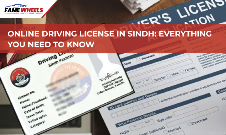 Online Driving License in Sindh: Everything You Need to Know