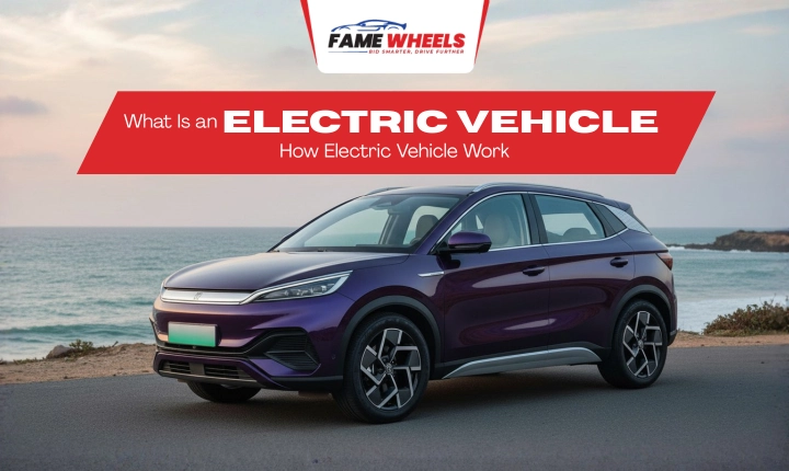 Electric vehicle parked by the seaside with a scenic view, showcasing modern design.