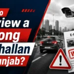 How to review a wrong e-challan in Punjab online